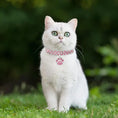Gallery viewerに画像を読み込む, Pet Collar With Diamonds, Mixed-color Cat And Dog Supplies, Cat Claws, Elastic Cat And Dog Necklace Jewelry by My Store
