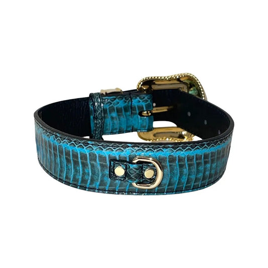Turquoise snakeskin dog collar with gold buckle and D-ring