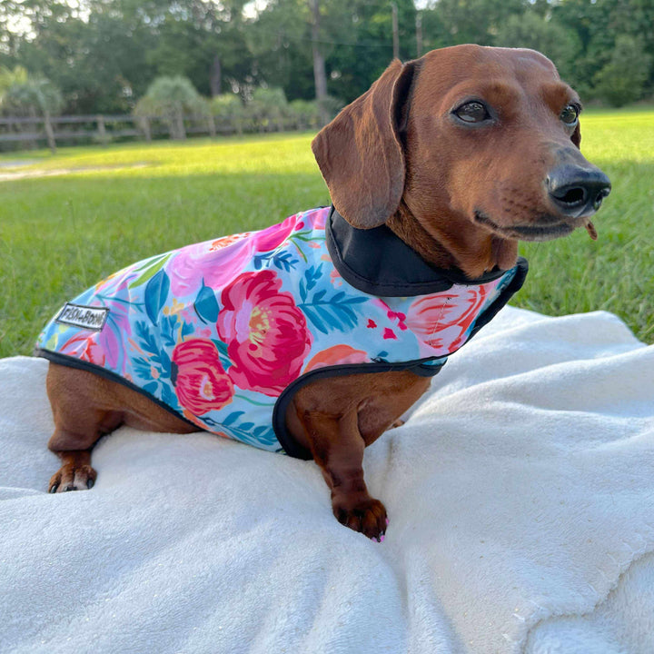Fish+Boone Southern Bloom Waterproof Long-Body Dog Coat