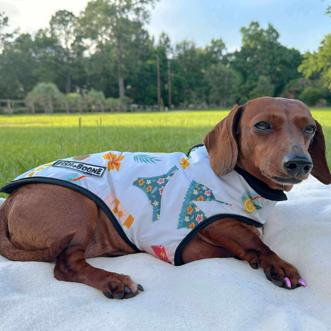 Fish+Boone Cabana Club Waterproof Long-Body Dog Coat