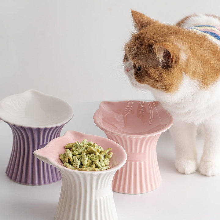 Cat beside elevated cat-ear ceramic bowls