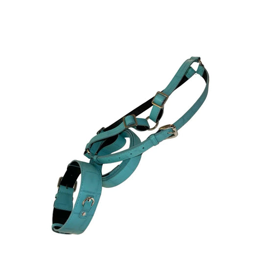 The Tiffany Collection turquoise embossed croc Italian leather collar, leash & harness set by Allysa Payne Beverly Hills