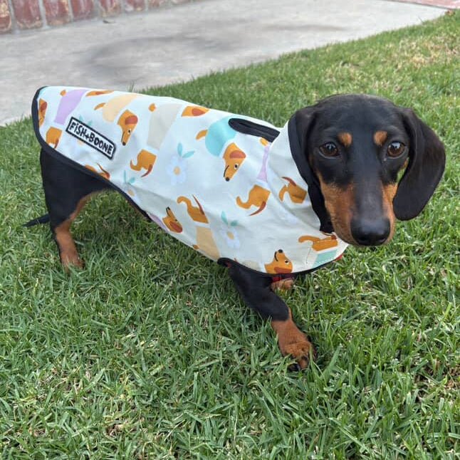 Fish+Boone Dachshunds &amp; Daisies Waterproof Long-Body Dog Coat