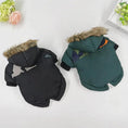 Carica l'immagine nel visualizzatore della galleria, Dog Clothes Winter Thickened Warmth Cotton Pet Dogs Coat Jacket in black and green with fur hoods, warm and stylish.
