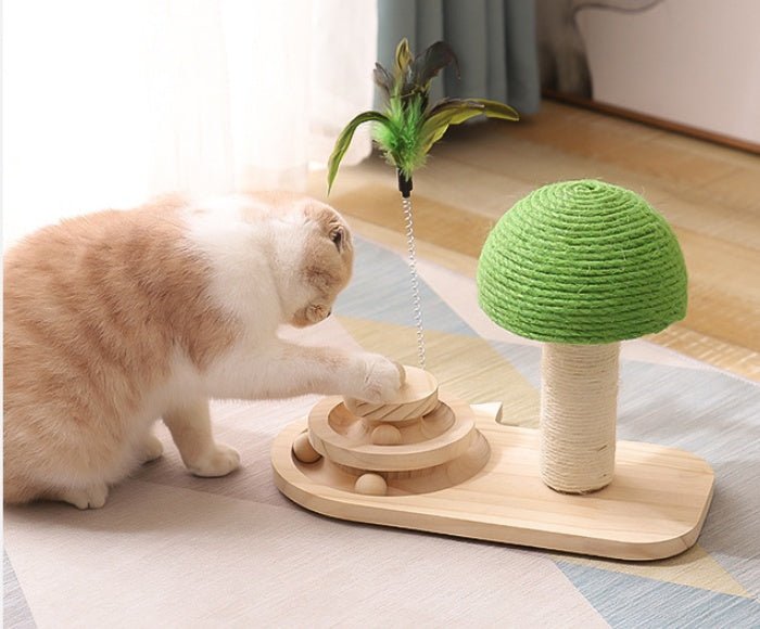 Cat beside green mushroom scratcher and wooden ball track