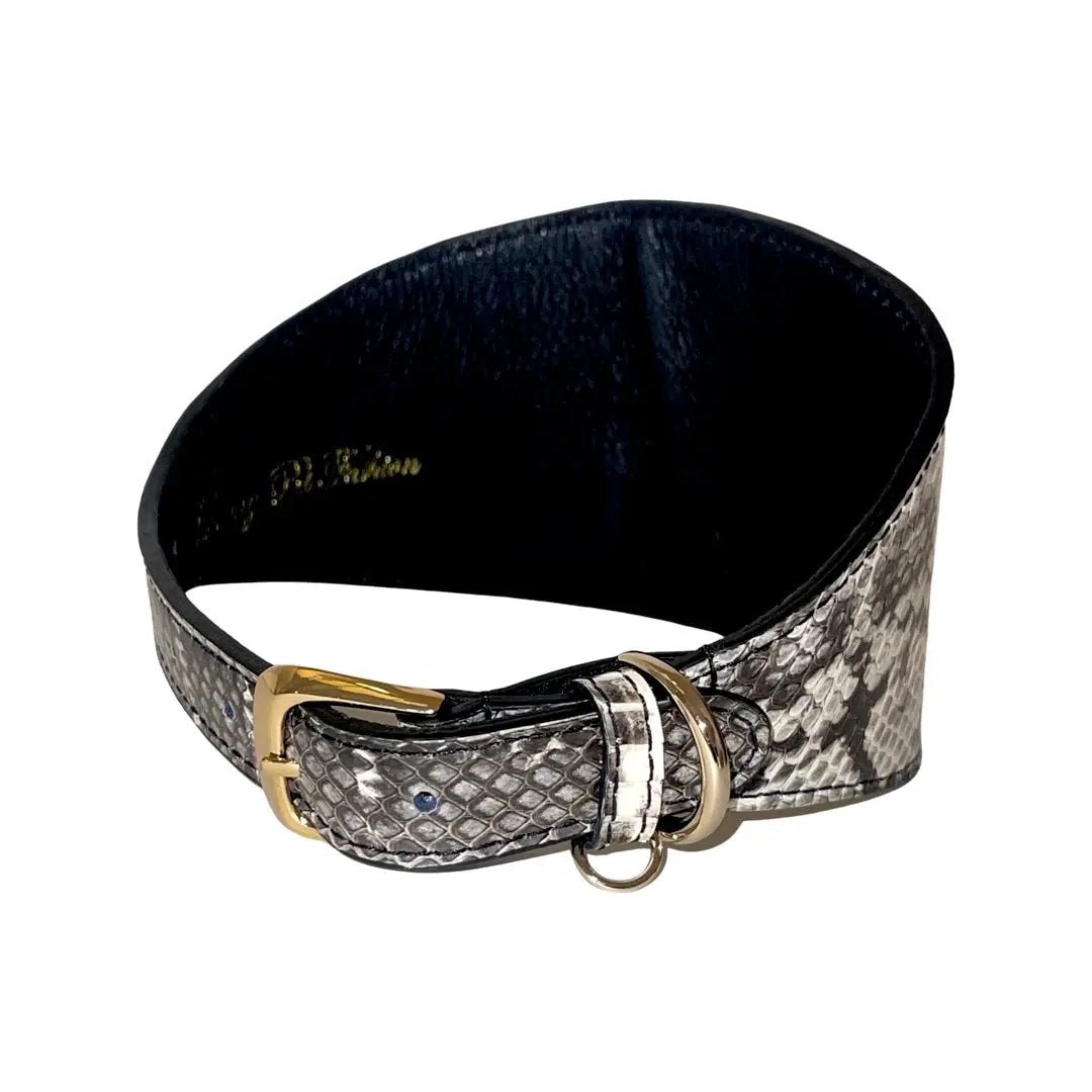 White and black snakeskin collar, 4 inch wide with gold buckle, by Allysa Payne Beverly Hills
