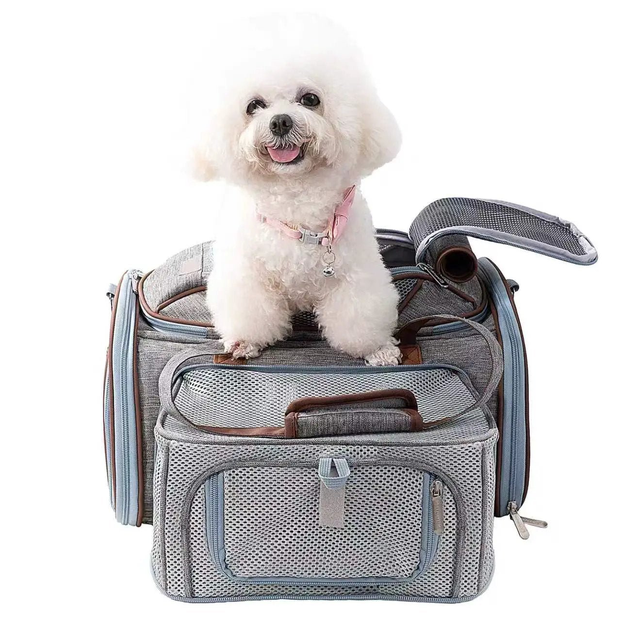 Mr. Peanut's Gold Series Mini Expandable V3.0 Pet Carrier, gray mesh with blue trim, small dog on top