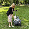 Load image into Gallery viewer, Mr. Peanut's Gold Series Mini Expandable V3.0 Pet Carrier, blue-gray, air-travel approved, on a rolling bag with a white dog.
