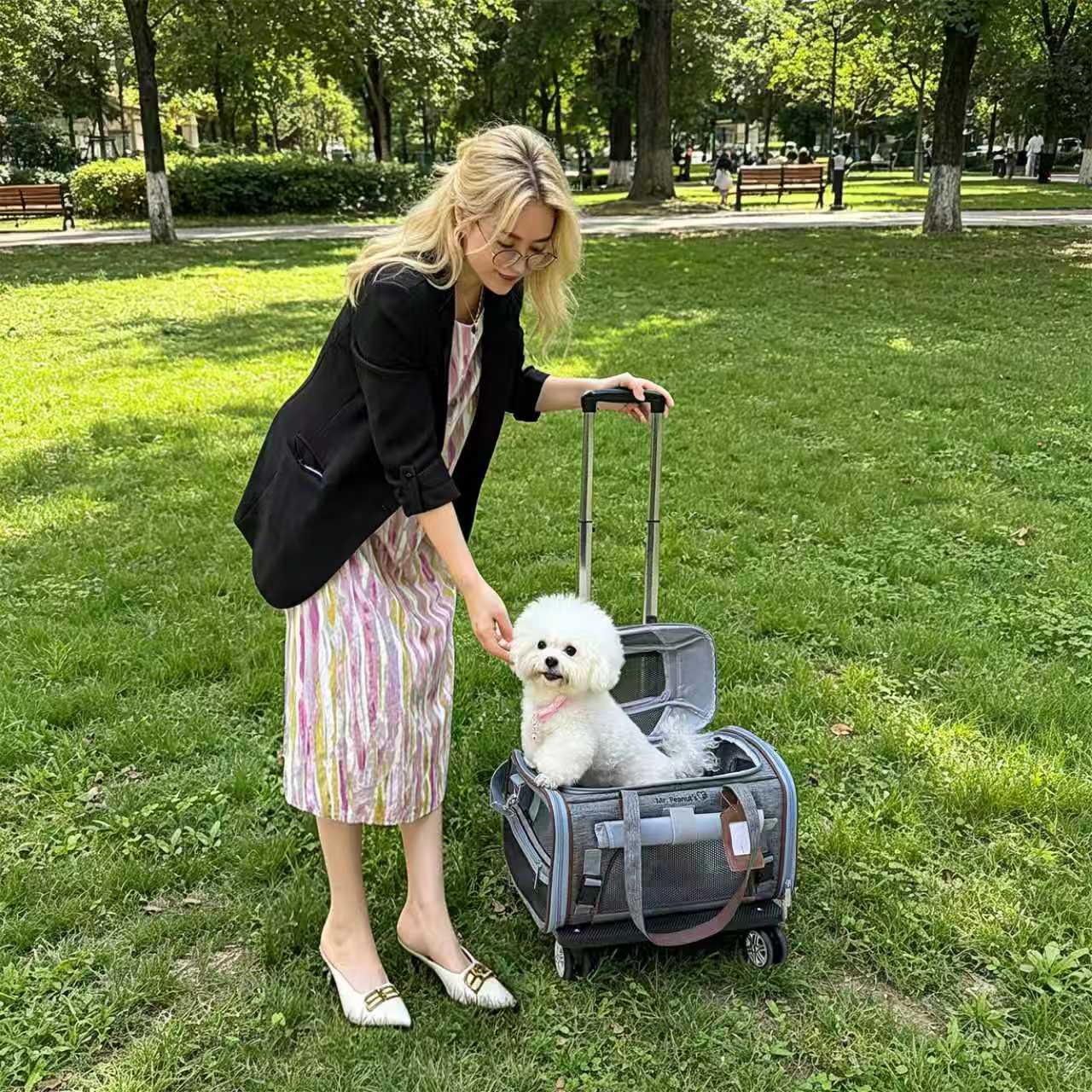 Mr. Peanut's Gold Series Mini Expandable V3.0 Pet Carrier, blue-gray, air-travel approved, on a rolling bag with a white dog.