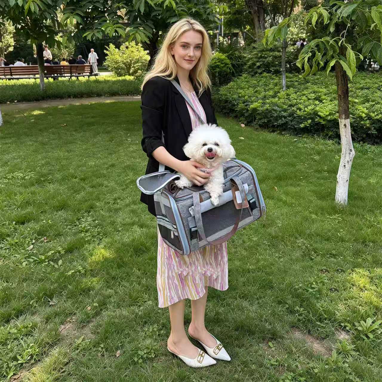 Mr. Peanut's Gold Series Mini Expandable V3.0 Pet Carrier, gray expandable airline-approved carrier with a small white dog inside