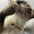 Gallery viewerに画像を読み込む, Luxury Stainless Steel Pet Love Heart Pendant Necklace Curb Chain For Cat Dog Gold Silver 18 25 30 38 Cm by Sell My Stuff
