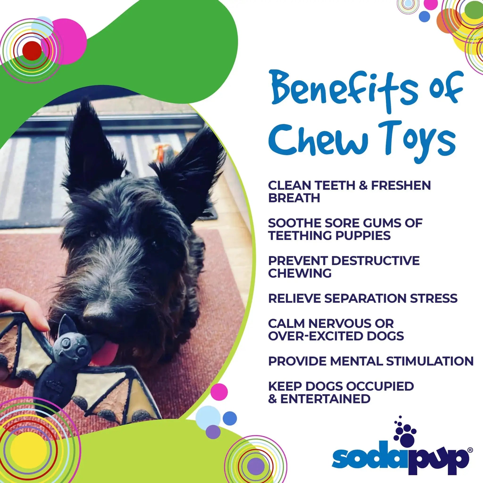 SodaPup Vampire Bat Nylon Dog Chew Toy for aggressive chewers, FDA compliant