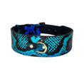 Carica l'immagine nel visualizzatore della galleria, Collar by Allysa Payne Beverly Hills, electric turquoise blue and black snake print with gold hardware
