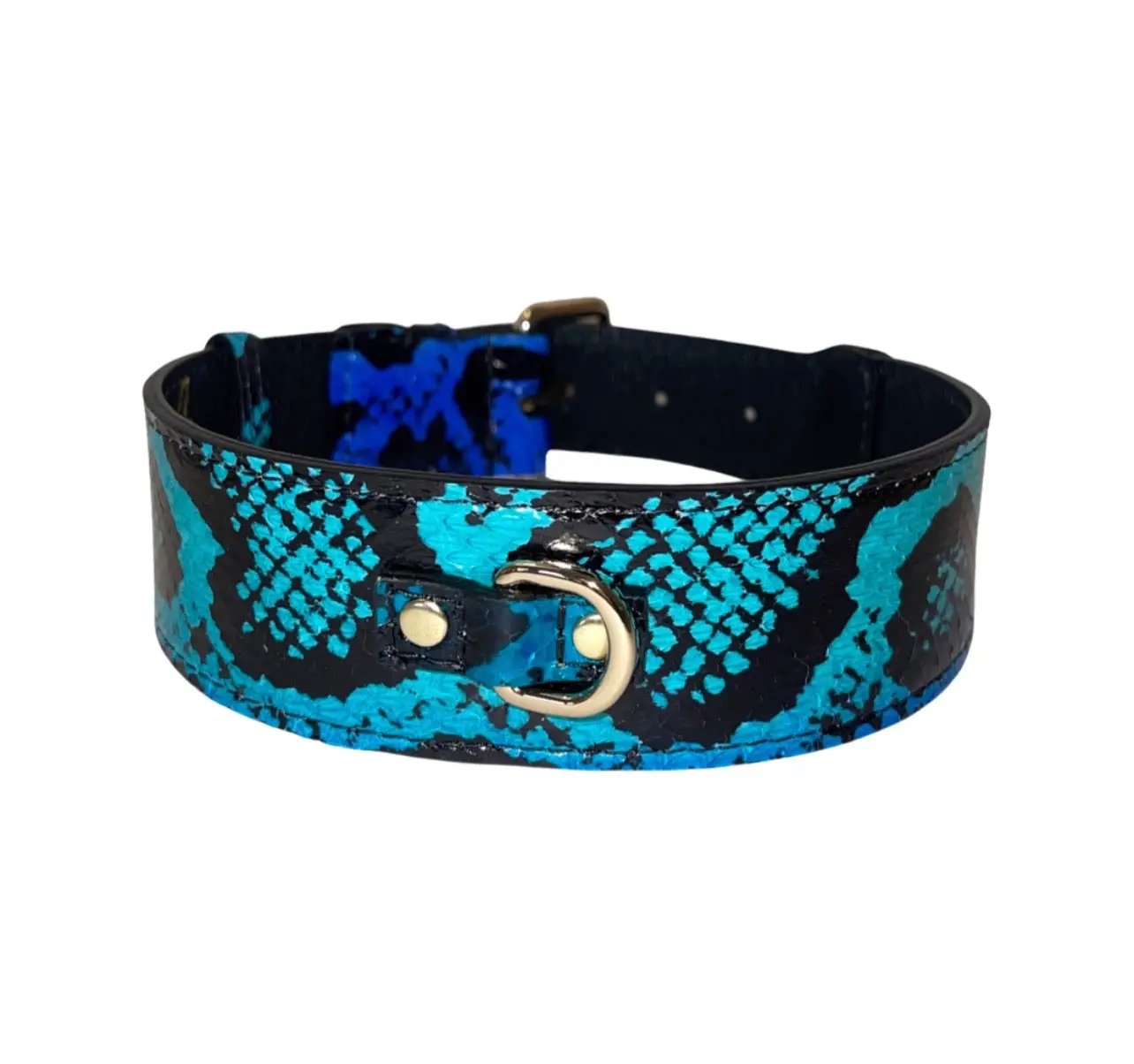 Collar by Allysa Payne Beverly Hills, electric turquoise blue and black snake print with gold hardware
