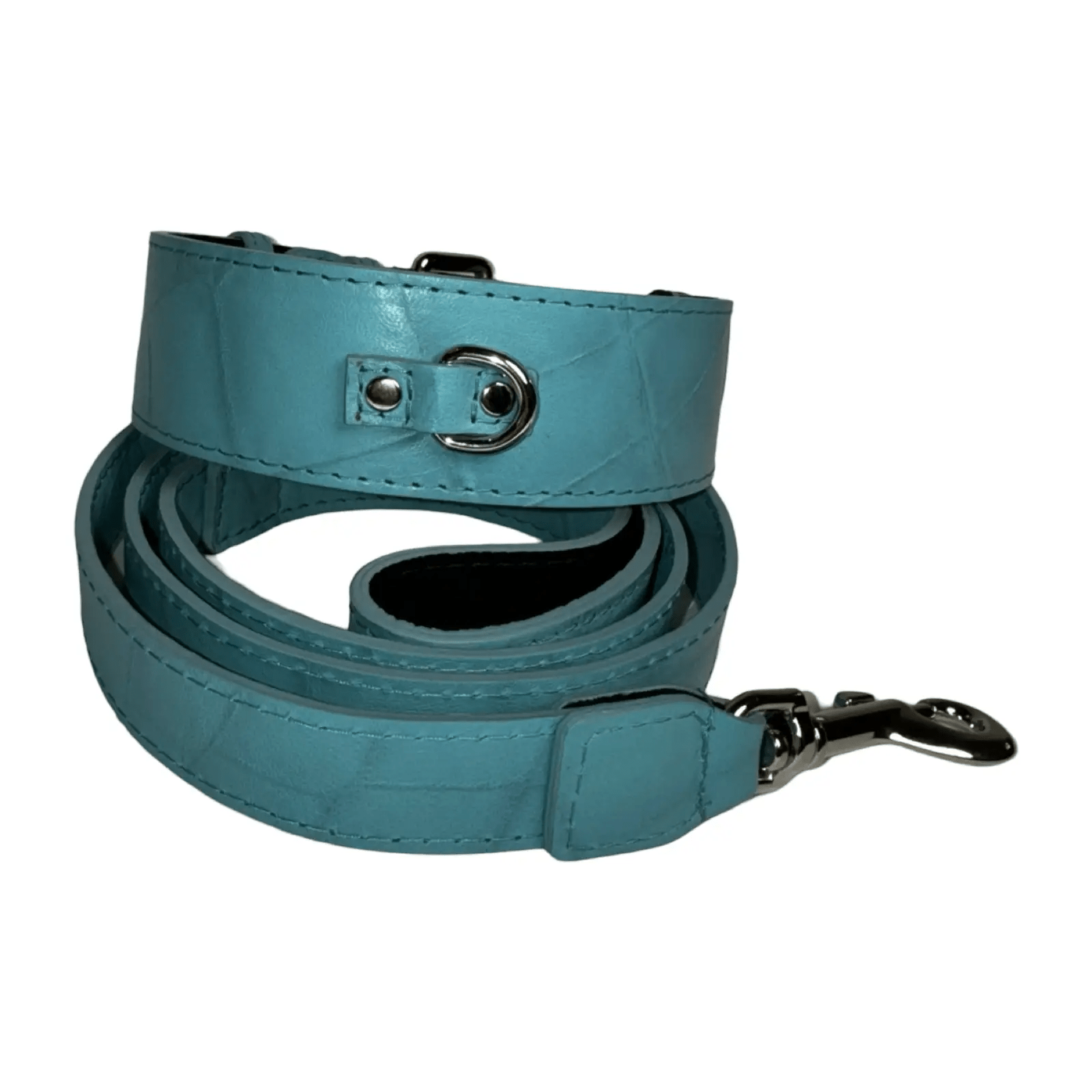 Tiffany Collection Turquoise Leather Dog Collar by Allysa Payne Beverly Hills