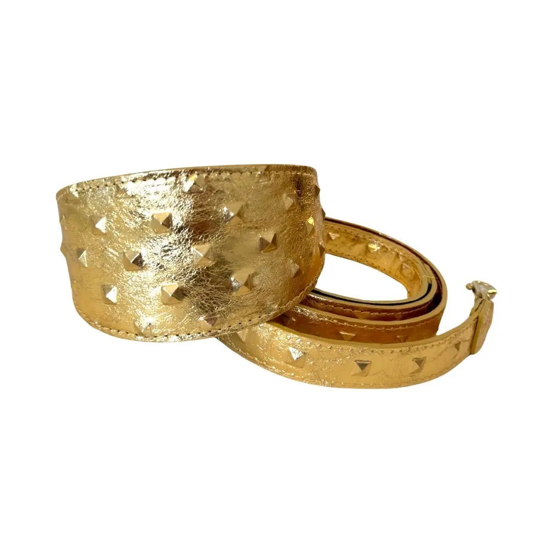 Glam Gold Studded Leather Collar And Leash Set by Allysa Payne Beverly Hills