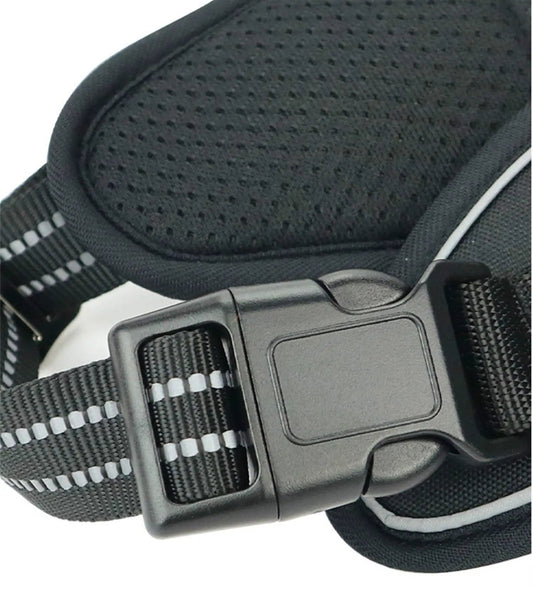 All-Weather Comfort Pet Harness by For Animals, With Love