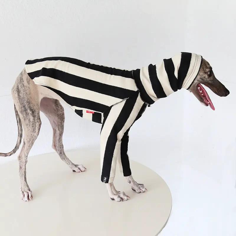 Whippet & Greyhound striped shirt pet costume by SOCKPET in black and white stripes