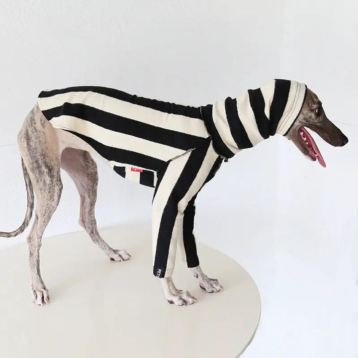 Whippet &amp; Greyhound striped shirt pet costume by SOCKPET in black and white stripes