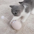 Load image into Gallery viewer, Premium Interactive Hard ABS Plastic Small Cat Knot Toy Indoor Safety by Sell My Stuff
