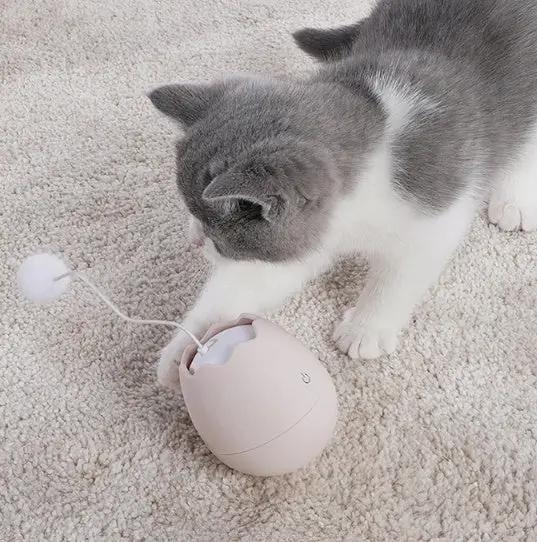 Premium Interactive Hard ABS Plastic Small Cat Knot Toy Indoor Safety by Sell My Stuff