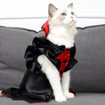 Load image into Gallery viewer, Cat Halloween Vampire Transformation Costume by Pet Zen; black satin cape with red lining and ruffled trim
