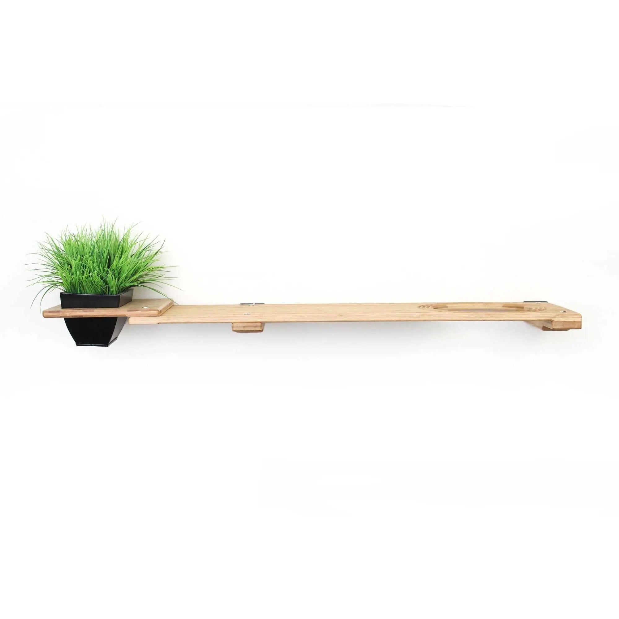 Cat Plant Stand for Wall cat shelf with natural wood finish and black planter holding green grass plant
