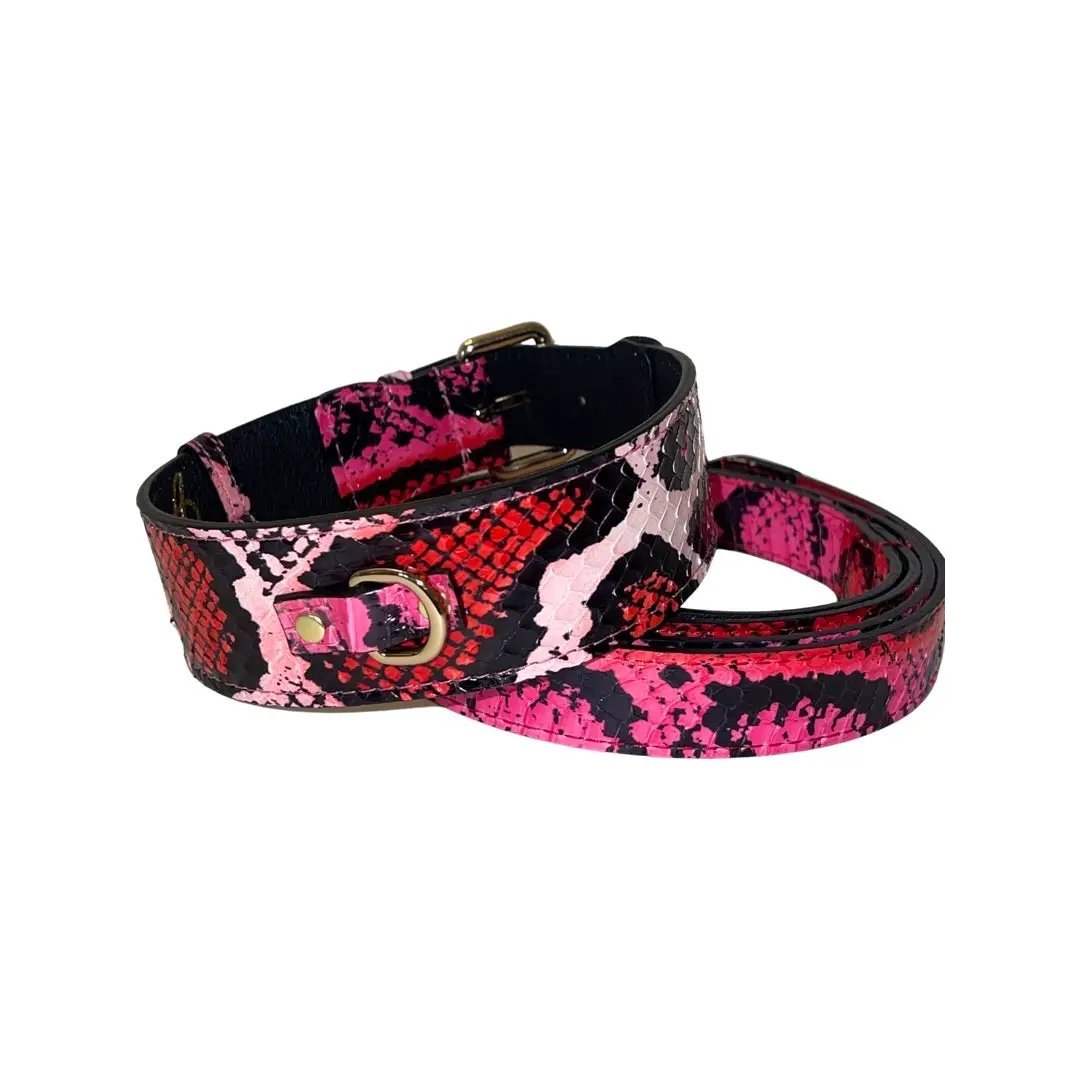 Classic Collar & Leash Set By Brand In Fuchsia Snake by Allysa Payne Beverly Hills