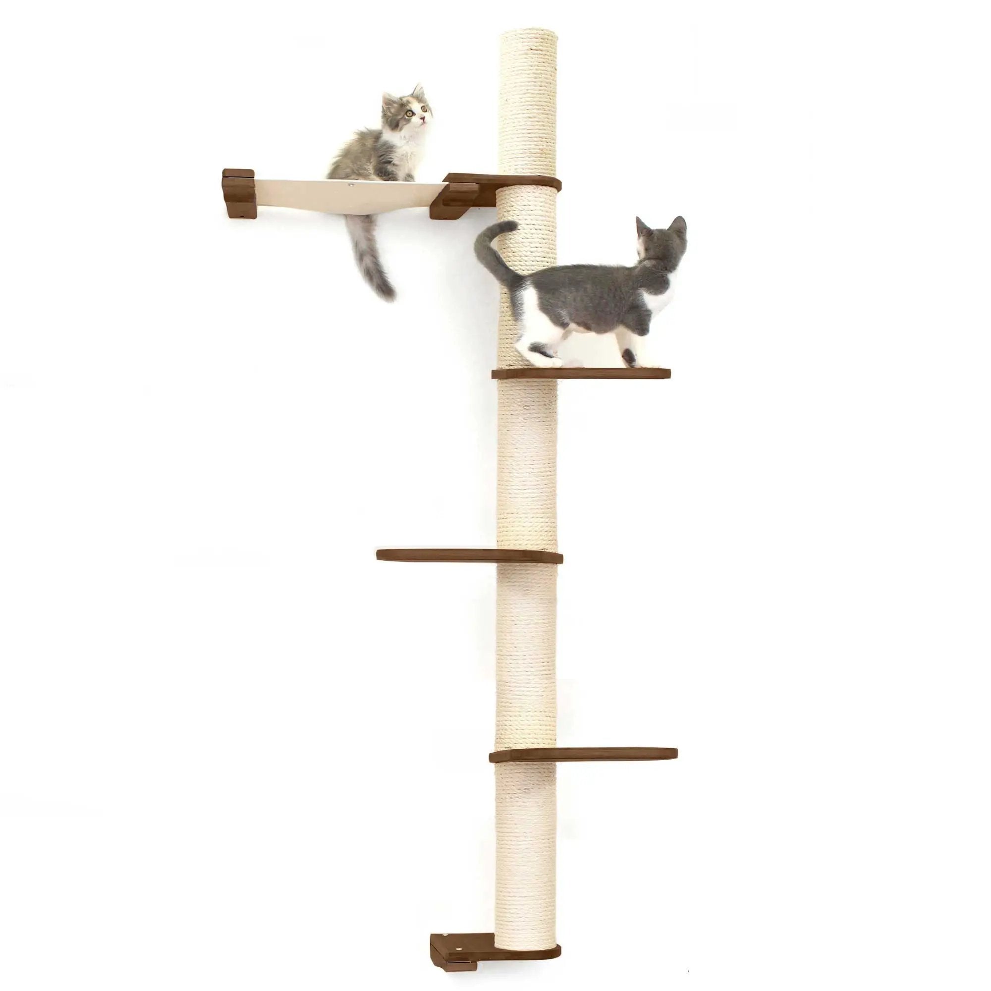 The Crow's Nest wall cat condo with rope scratcher and hammock for 2 kittens, Catastrophic Creations