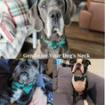 Load image into Gallery viewer, PawLuxe Green Velvet Set Custom No Pull Harness Medium And Large by DDPaws
