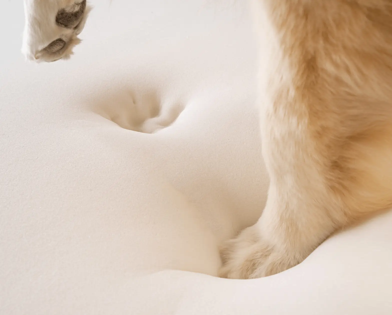Paw.com PupRug faux fur orthopedic dog bed; white surface with tan dog paw visible