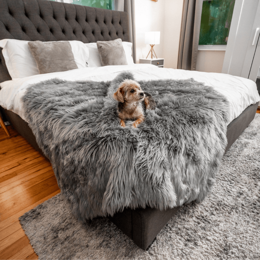 Paw.com PupProtector Waterproof Throw Blanket, Charcoal Grey