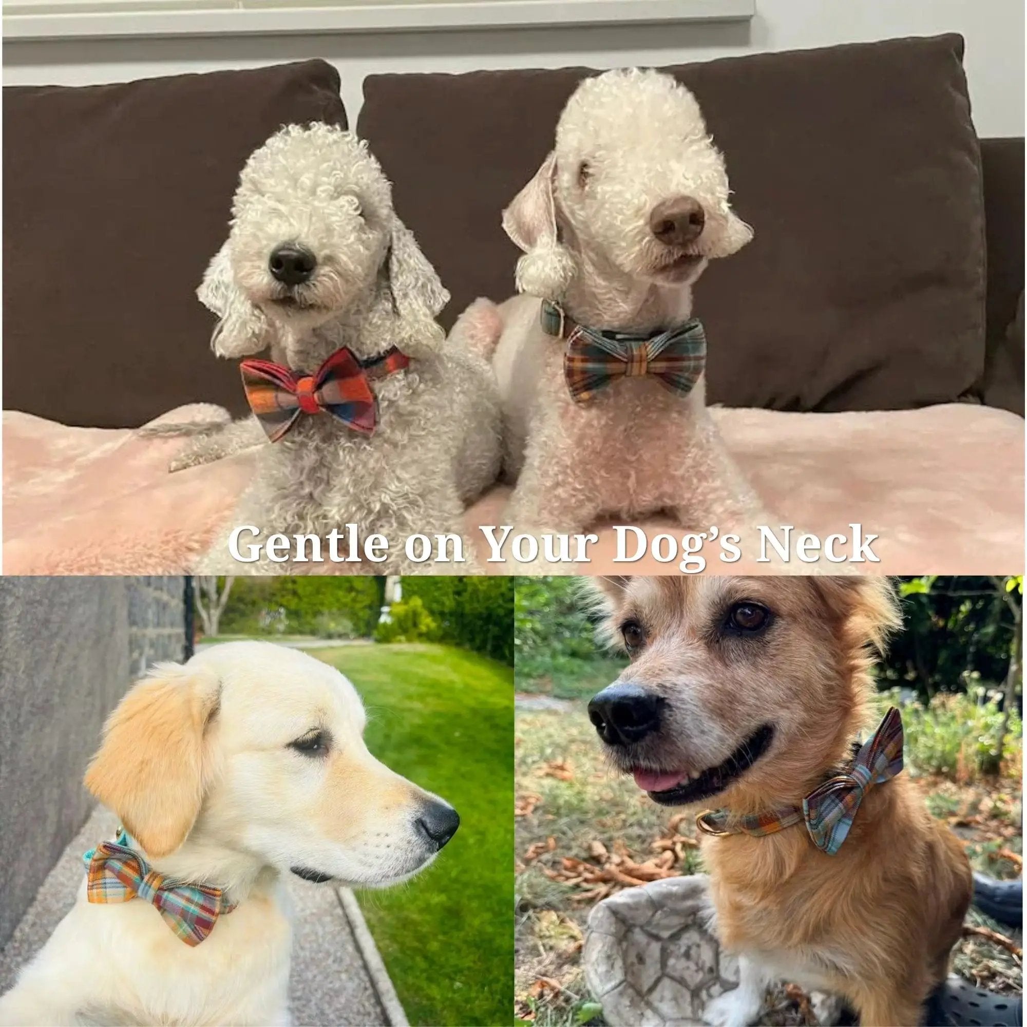 Autumn Blue Plaid Custom No Pull Dog Harness Collar Leash Bow Tie Set With Waste Bag Holder by DDPaws