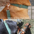 Cargar la imagen en la vista de la galería, Personalized Dark Green Corduroy Harness Collar Leash No Pull Set by DDPaws
