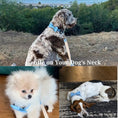 Load image into Gallery viewer, Luxury Blue Denim Dog Harness Leash Bow Tie Set Personalized Buckle by DDPaws
