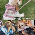 Carica l'immagine nel visualizzatore della galleria, Dusty Pink Velvet Dog Harness And Leash Set Custom Engraved No Pull by DDPaws
