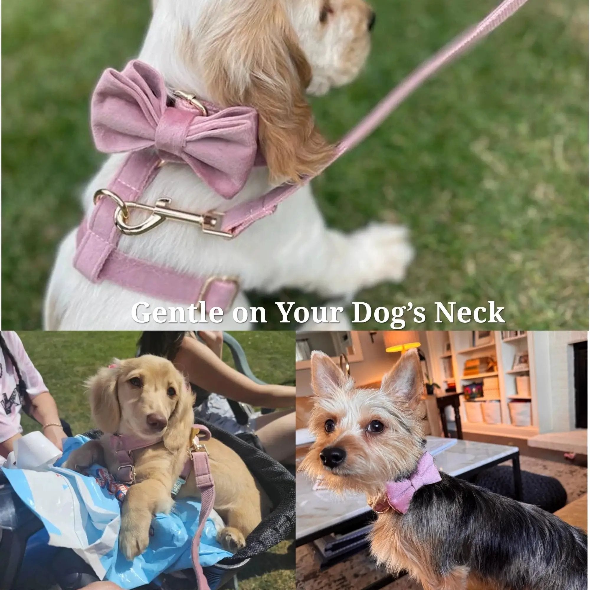 Dusty Pink Velvet Dog Harness And Leash Set Custom Engraved No Pull by DDPaws