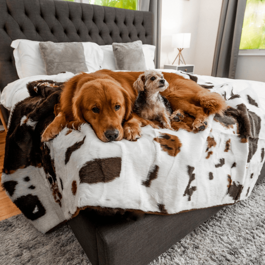 Paw.com PupProtector Waterproof Throw Blanket, Brown Faux Cowhide