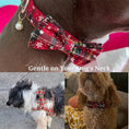 Bild in Galerie-Betrachter laden, Festive Pets Christmas Plaid No Pull Dog Harness Set Collar Leash Personalized Engraved Buckle Tailored Fit by DDPaws
