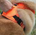 Carica l'immagine nel visualizzatore della galleria, All-Weather Comfort Pet Harness by For Animals, With Love
