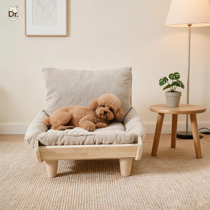 Small dog asleep on beige chair