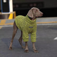 Load image into Gallery viewer, Soft and Warm Stripe Dog Sweater, green textured knit for dogs
