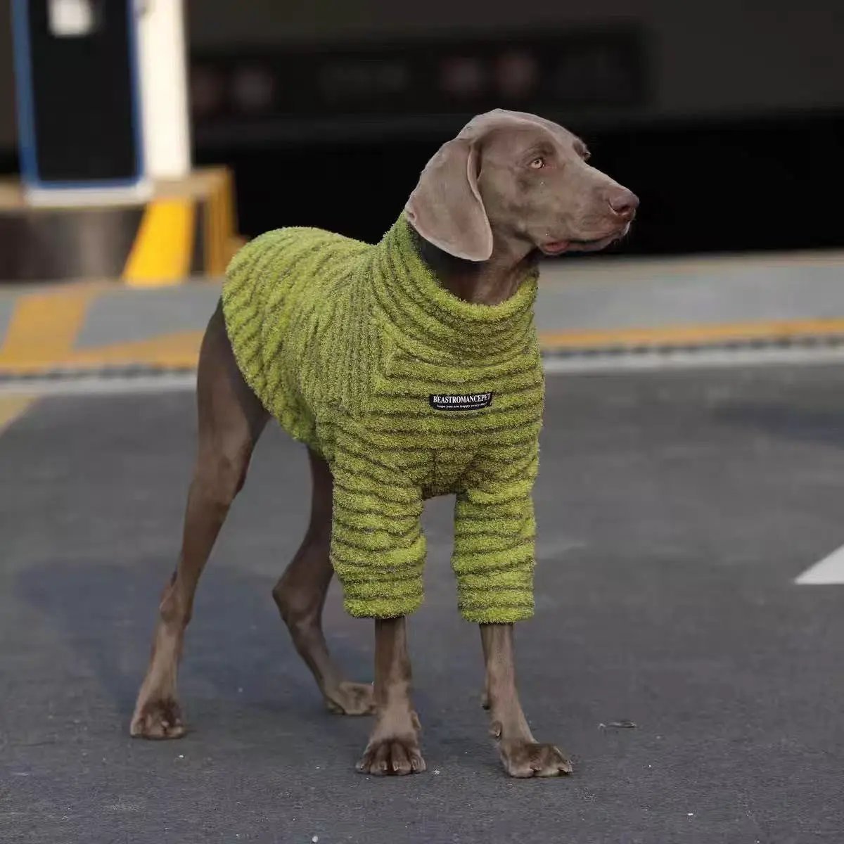 Soft and Warm Stripe Dog Sweater, green textured knit for dogs