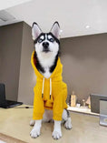 Load image into Gallery viewer, SOCKPET Spring Hoodie for small & medium dogs, yellow pullover
