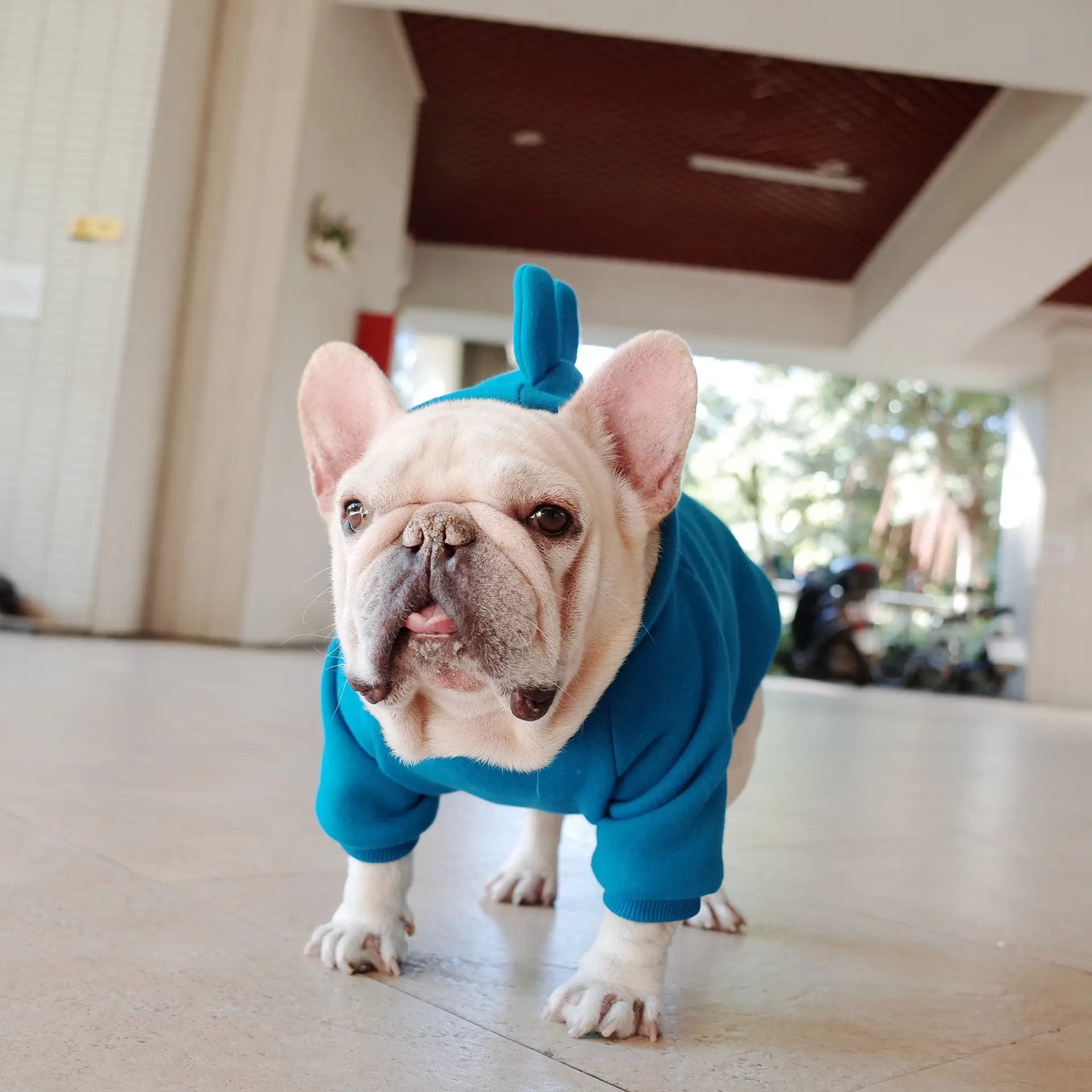Pet Apparel Fleece Solid Color Hoodie teal blue by Pet Zen for dogs