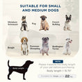 Charger l'image dans la visionneuse de la galerie, PawHut Pet Sofa Dog Couch Gray by HouseOfZazla
