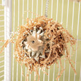 Charger l'image dans la visionneuse de la galerie, Parrot Bird Toy Gnawing Molar Chew Durable Supplies Set Kit by Sell My Stuff

