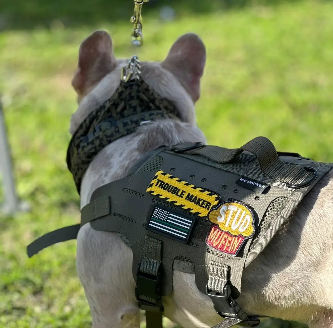 Stud Muffin Embroidered Morale Patch With Two Inch By Two Inch Hook Fastener Backing Collection by kiloninerpets