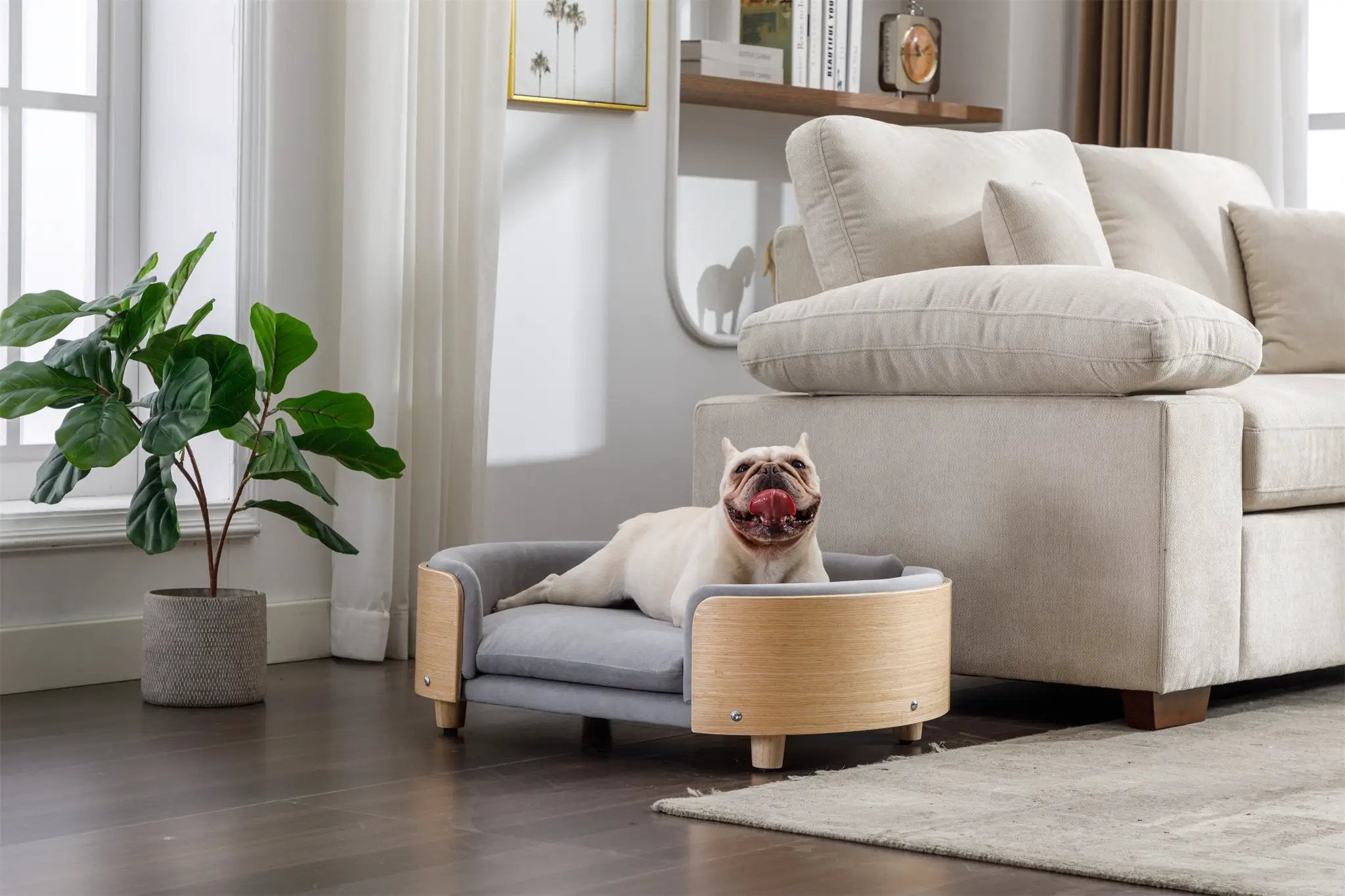 Scandinavian Style Elevated Dog Bed Pet Sofa Velvet Cushion Mid Size Light Grey by HouseOfZazla