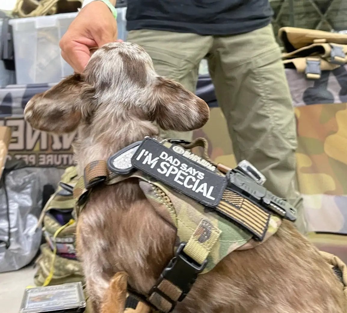 Dad Says I'm Special Embroidered Morale Patch Hook Backing 3.5 X 1.5 by kiloninerpets